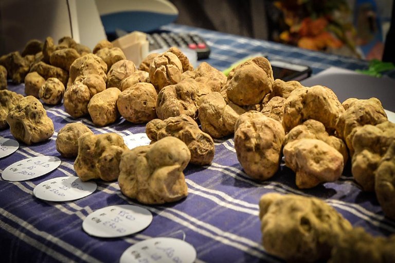 Antichi mestieri rivivono nel centro storico di Lecce